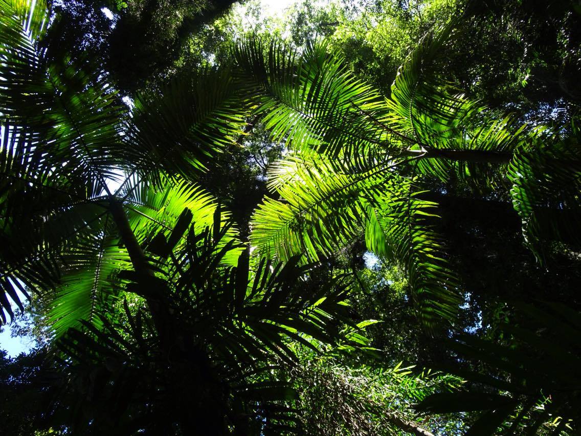 12. Homeless Ben Trip Part V – 清晨休息站遇見蘇格拉底