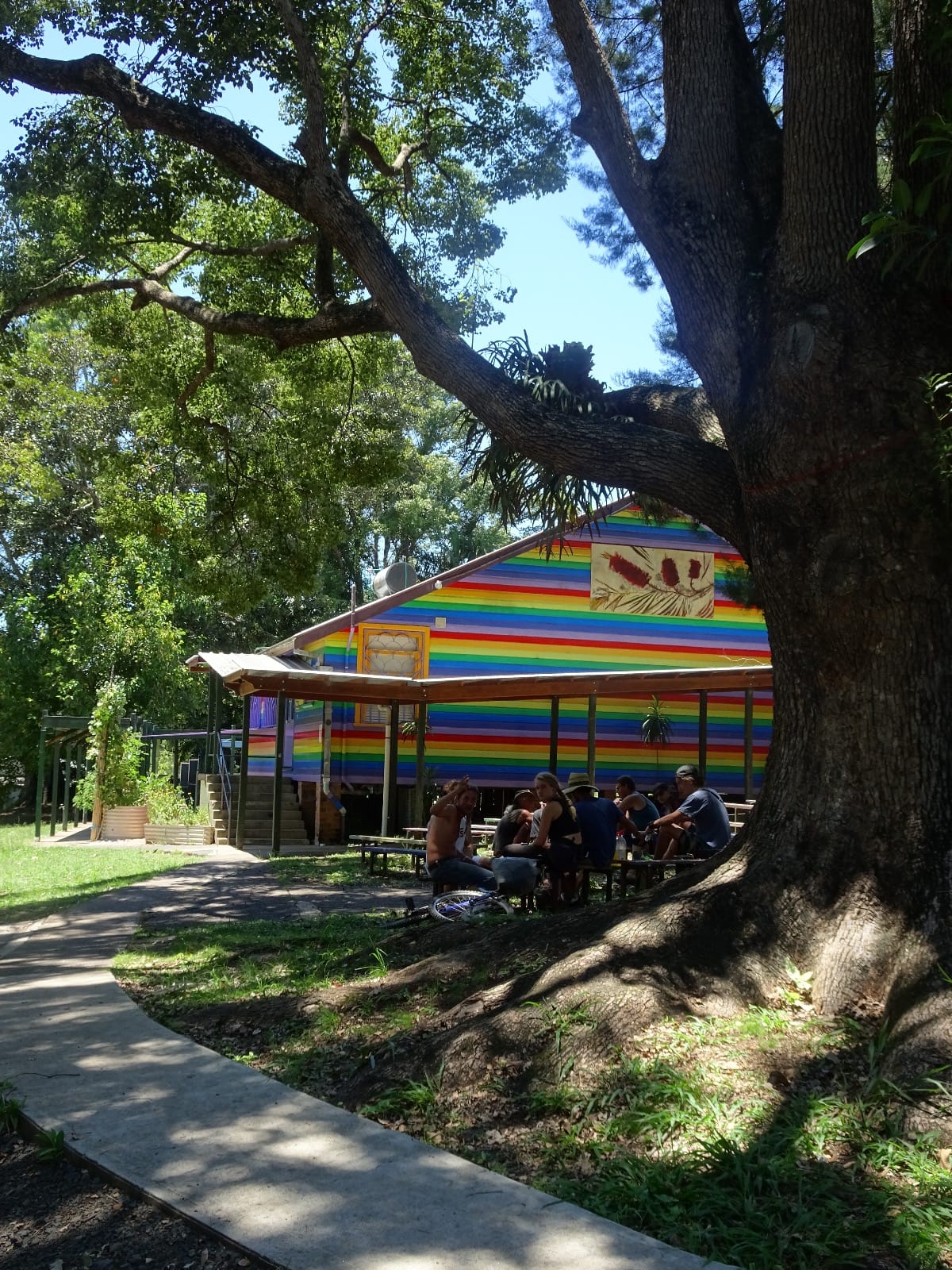 18. Homeless Ben Trip Part XI – 帶著豔陽印象的Nim Bin